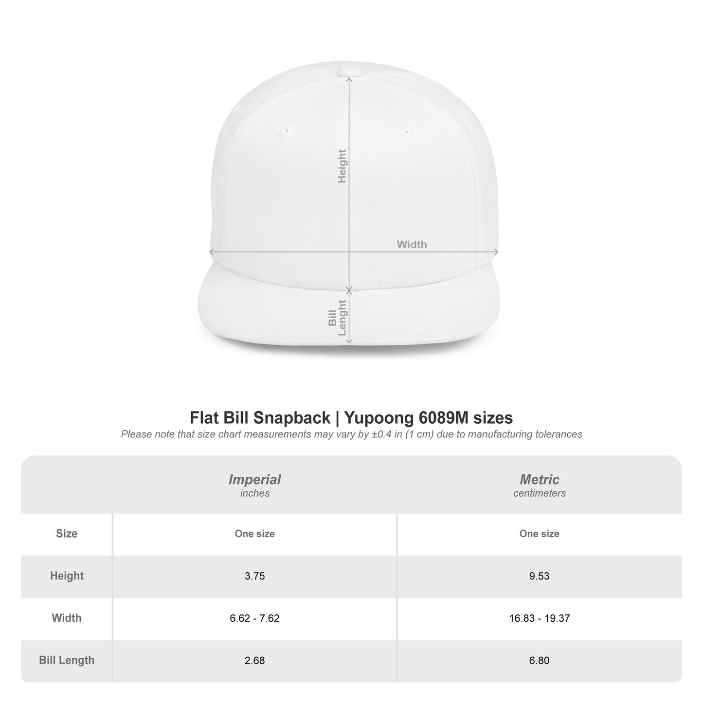 AUTO MOTO - 70s Logo Flat Bill Snapback